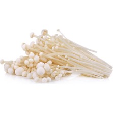 Tohumcu Kikizade Enok Mantarı Tohumu 100 Gram + Ekim Torbası + Kılavuz