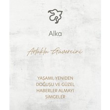 Alka Hızma