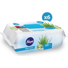 Sleepy Aloe Vera Islak Havlu 6X120 (720 Yaprak)