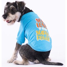 Pawstar Turkuaz Power Polarlı Küçük Irk Köpek Sweatshirtü
