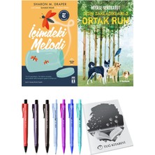 Sisin Sakladıkları 2 Ortak Ruh ve Içimdeki Melodi 2'li Set