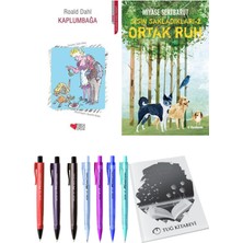 Sisin Sakladıkları 2 Ortak Ruh ve Kaplumbağa 2'li Set