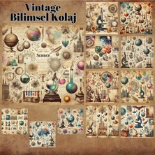 Pink Swan Craft Bilimsel Kolaj Vintage 12 Adet Scrapbook Bullet Journal Mat Planlayıcı Sticker Etiket Seti