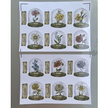 Pink Swan Craft Vintage Scrapbook Fanus Içerisinde Çiçekler ve Aylar Etiket Seti Bullet Journal Planlayıcı Sticker