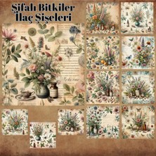 Pink Swan Craft Şifalı Otlar Ve Ilaç Şişeleri Vintage 12 Adet Scrapbook Bullet Journal Mat Plan Sticker Etiket Seti