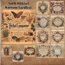 Pink Swan Craft Antik Bitkisel Karışım Tarifleri Vintage 12 Adet Scrapbook Bullet Journal Mat Planlayıcı Sticker