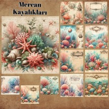 Pink Swan Craft Mercan Kayalıkları Vintage 12 Adet Scrapbook Bullet Journal Mat Planlayıcı Sticker Etiket Seti