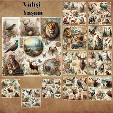 Pink Swan Craft Vahşi Yaşam Temalı Vintage 12 Adet Scrapbook Bullet Journal Mat Planlayıcı Sticker Etiket Seti