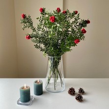 Tekno Trust Lım Kokina Buketi (12'Li Demet)