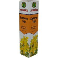 Nursima Kantaron Yağı 250 ml