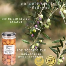 Olivyum Yeşil Zeytin %100 Katksız Cam Şişe