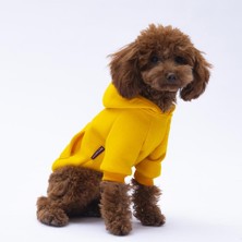 Pettrend Sarı  Kanguru Cepli Kedi-Köpek Hoodie- Sweatshirt  Kedi Köpek Kıyafeti