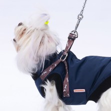 Pawstar Gri Lacivert Nuuk Kolsuz Yelek Yağmurluk Küçük ve Orta Irk