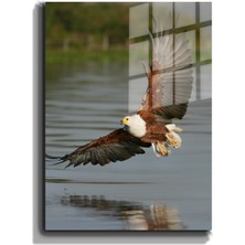 Marsilyan Eğlenceli Hayvanlar, Yapay Zeka Destekli, 3d Dekoratif Baskı Cam Tablo 31