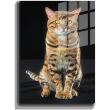 Marsilyan Eğlenceli Hayvanlar, Yapay Zeka Destekli, 3d Dekoratif Baskı Cam Tablo 99