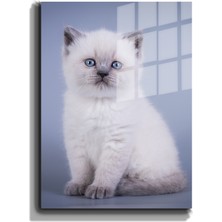 Marsilyan Eğlenceli Hayvanlar, Yapay Zeka Destekli, 3d Dekoratif Baskı Cam Tablo 83