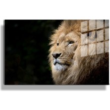 Marsilyan Eğlenceli Hayvanlar, Yapay Zeka Destekli, 3d Dekoratif Baskı Yatay Cam Tablo 649