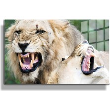 Marsilyan Eğlenceli Hayvanlar, Yapay Zeka Destekli, 3d Dekoratif Baskı Yatay Cam Tablo 164