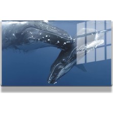 Marsilyan Eğlenceli Hayvanlar, Yapay Zeka Destekli, 3d Dekoratif Baskı Yatay Cam Tablo 193