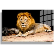 Marsilyan Eğlenceli Hayvanlar, Yapay Zeka Destekli, 3d Dekoratif Baskı Yatay Cam Tablo 651