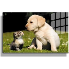 Marsilyan Eğlenceli Hayvanlar, Yapay Zeka Destekli, 3d Dekoratif Baskı Yatay Cam Tablo 422