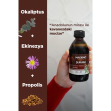 Mesir-i Şifa Propolis Şurubu Okaliptus Ekinezya Propolis Ekstreli Bitkisel Karışımlı Şurup 350 gr