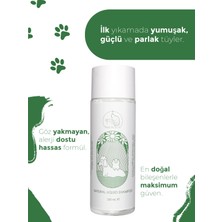 Paw in Tech Göz Yakmayan Doğal Kedi ve Köpek Şampuanı 200 ml