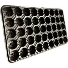 Karaoğlu Vakum Ambalaj Fidelik Viyol 25 Adet 45 Göz Fide Viyolü Fide Altlığı Tohum Yetiştirme Kabı