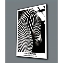 Harikabirev Kırılmaz Cam (Temperli)  Siyah-Beyaz Zebra Tablosu 03