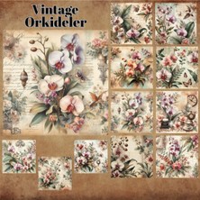 Pink Swan Craft Orkideler Vintage 12 Adet Scrapbook Bullet Journal Mat Planlayıcı Sticker Etiket Seti