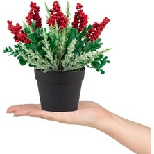 Çiçekmisin Mini Siyah Plastik Saksıda Karlı Kokinalı Yapay Yılbaşı Çiçeği