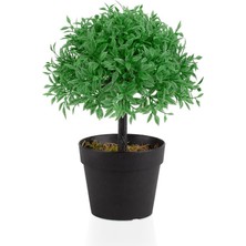 Çiçekmisin Mini Siyah Plastik Saksıda Yapay Fesleğen Ağacı