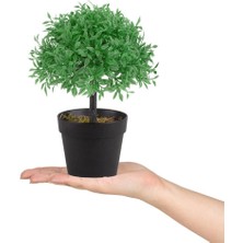 Çiçekmisin Mini Siyah Plastik Saksıda Yapay Fesleğen Ağacı