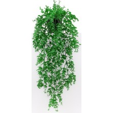 Çiçekmisin 3'lü Set Mini Siyah Plastik Saksıda Sarkan Şimşir