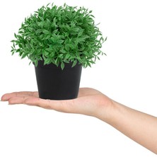 Çiçekmisin 3'lü Set Mini Siyah Plastik Saksıda Yapay Fesleğen Çiçeği
