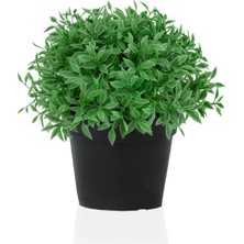 Çiçekmisin 3'lü Set Mini Siyah Plastik Saksıda Yapay Fesleğen Çiçeği