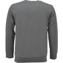 Baglan Erkek Spor Mevsimlik Sıfır Yaka Sweatshirt BGL-ST03934