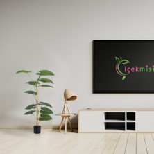 Çiçekmisin Çim Detaylı Yapay Difenbahya Ağacı