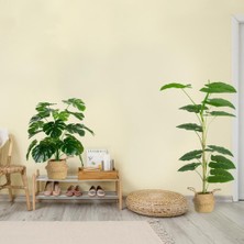Çiçekmisin Çim Detaylı Yapay Difenbahya Ağacı
