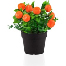 Çiçekmisin Siyah Mini Plastik Saksıda Yapay Mandalina Çiçeği