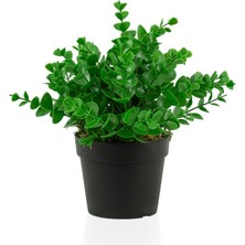Çiçekmisin Siyah Mini Plastik Saksıda Yapay Demet Şimşir