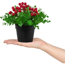 Çiçekmisin 3’lü Set Siyah Mini Plastik Saksıda Yapay Mandalina, Kokina ve Nar Çiçeği