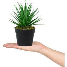 Çiçekmisin 3’lü Set Siyah Mini Plastik Saksıda Yapay Kokina, Aloe Vera ve Nar Çiçeği