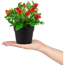 Çiçekmisin 3’lü Set Siyah Mini Plastik Saksıda Yapay Kokina, Aloe Vera ve Nar Çiçeği
