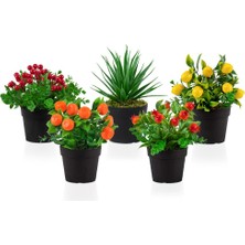 Çiçekmisin 5’li  Set Siyah Mini Plastik Saksıda Yapay Kokina, Aloe Vera, Limon, Mandalina ve Nar Çiçeği