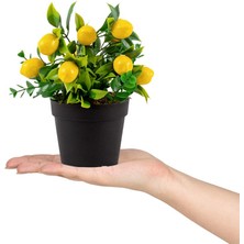 Çiçekmisin 5’li  Set Siyah Mini Plastik Saksıda Yapay Kokina, Aloe Vera, Limon, Mandalina ve Nar Çiçeği
