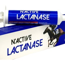 N Active N-Actıve Lactanase 30 ml Paste