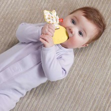 Fisher-Price Sensimals Dişlik HRB20