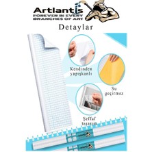 Artlantis Yapışkanlı Şeffaf Asetat 3 Adet 45CM x 2 Metre Djfix Kendinden Yapışkanlı Şeffaf Rulo Asetat Transparan Soğuk Laminasyon