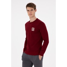 U.S. Polo Assn. Erkek Regular Fit Bisiklet Yaka Bordo Sweatshirt 50293456-VR014